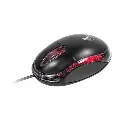 Xtech - Mouse - Wired